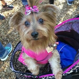 Meet your Posher, Jo